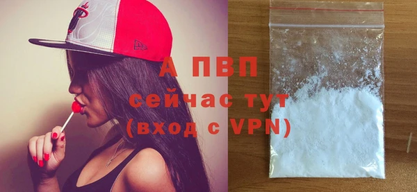 трава Медвежьегорск