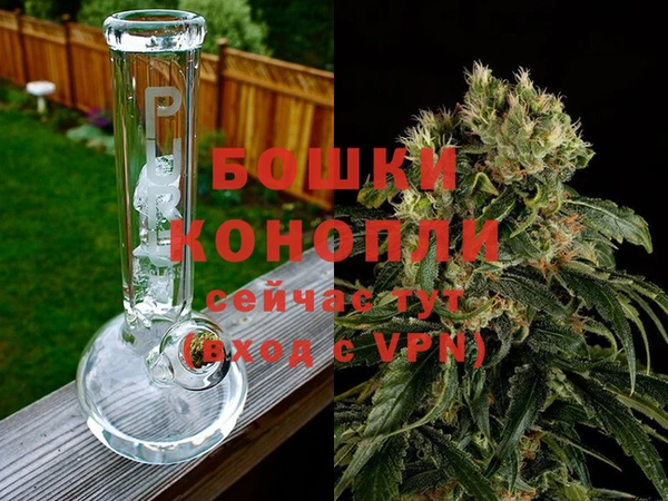 крисы Медногорск