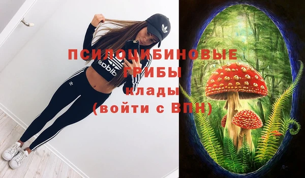 трава Медвежьегорск