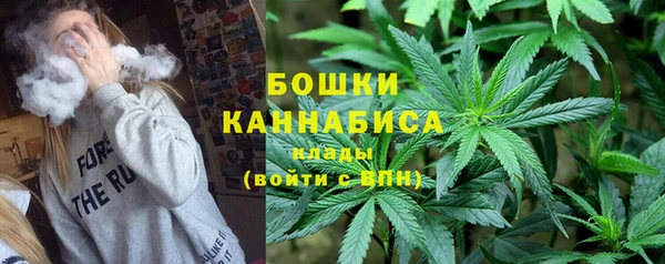 трава Медвежьегорск