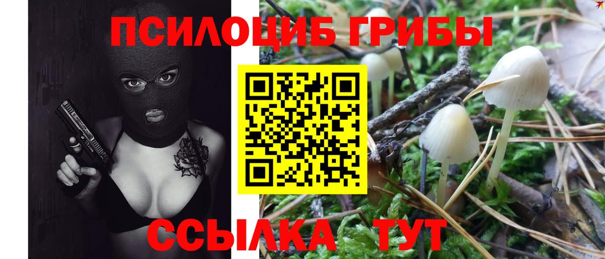 Галлюциногенные грибы MAGIC MUSHROOMS Березники