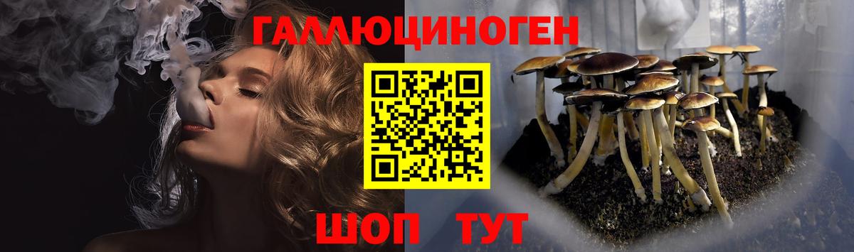 Галлюциногенные грибы MAGIC MUSHROOMS  наркошоп  Березники  Вход с VPN 