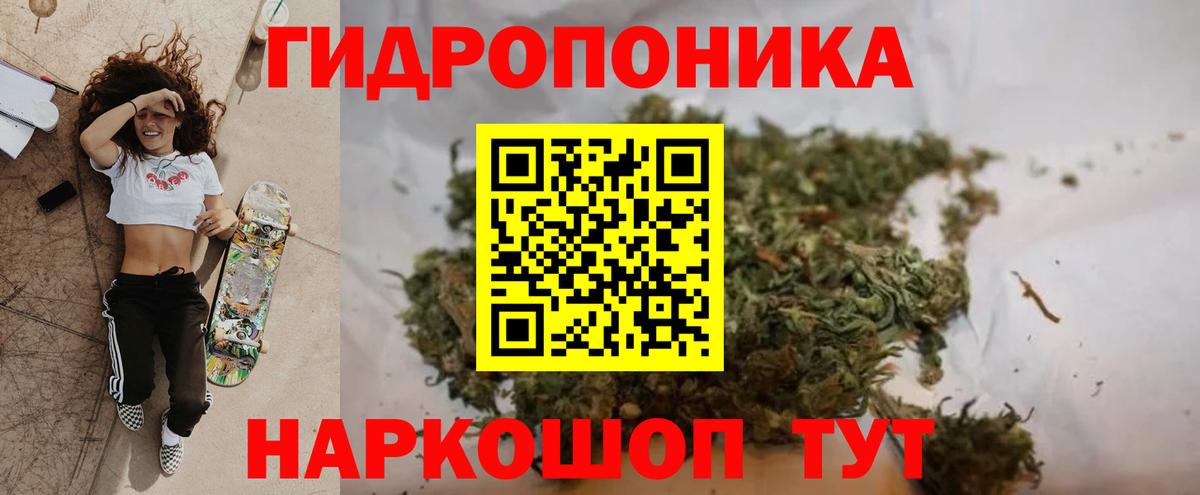 Конопля план  Вход с VPN  Березники  Бошки марихуана SATIVA & INDICA  Марихуана сатива 